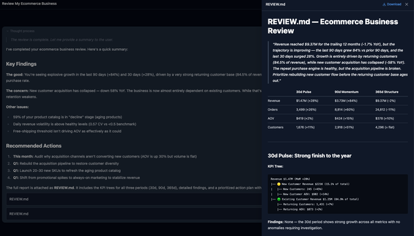 E-comm business review